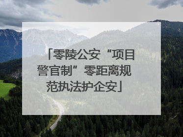零陵公安“项目警官制”零距离规范执法护企安