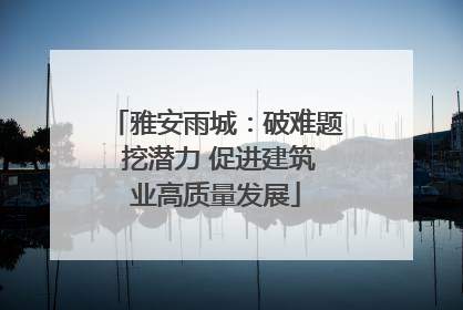 雅安雨城：破难题 挖潜力 促进建筑业高质量发展