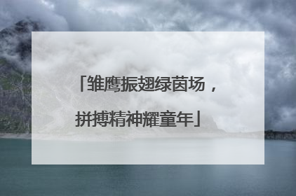 雏鹰振翅绿茵场，拼搏精神耀童年