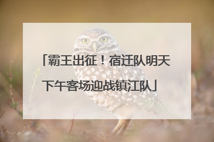 霸王出征！宿迁队明天下午客场迎战镇江队