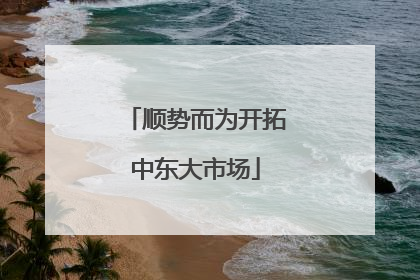 顺势而为开拓中东大市场