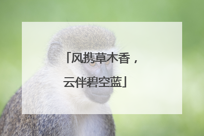 风携草木香，云伴碧空蓝