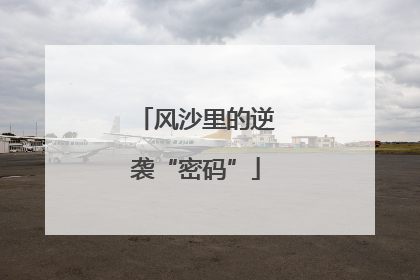 风沙里的逆袭“密码”