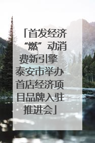 首发经济“燃”动消费新引擎 泰安市举办首店经济项目品牌入驻推进会