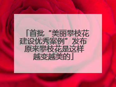 首批“美丽攀枝花建设优秀案例”发布 原来攀枝花是这样越变越美的