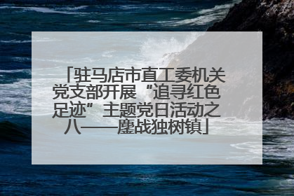 驻马店市直工委机关党支部开展“追寻红色足迹”主题党日活动之八——鏖战独树镇