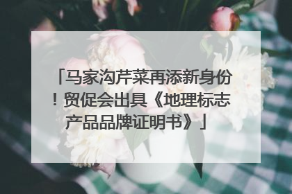马家沟芹菜再添新身份！贸促会出具《地理标志产品品牌证明书》