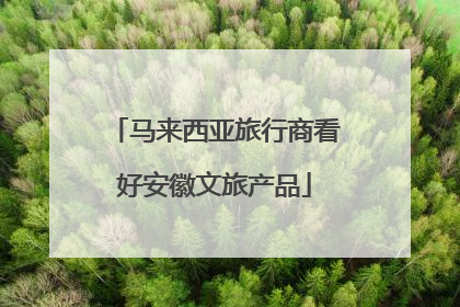 马来西亚旅行商看好安徽文旅产品