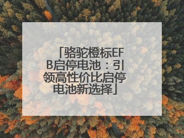 骆驼橙标EFB启停电池：引领高性价比启停电池新选择