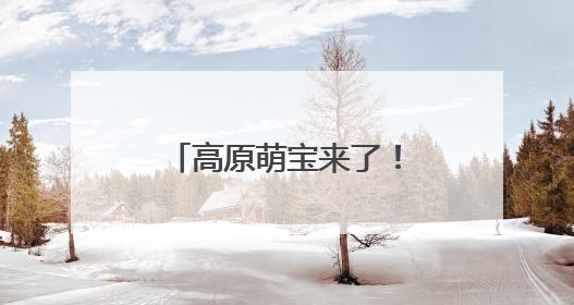 高原萌宝来了！若尔盖湿地首批黑颈鹤雏鸟破壳