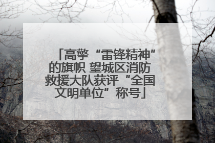 高擎“雷锋精神”的旗帜 望城区消防救援大队获评“全国文明单位”称号