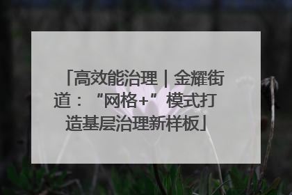 高效能治理｜金耀街道：“网格+”模式打造基层治理新样板