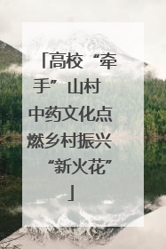 高校“牵手”山村 中药文化点燃乡村振兴“新火花”