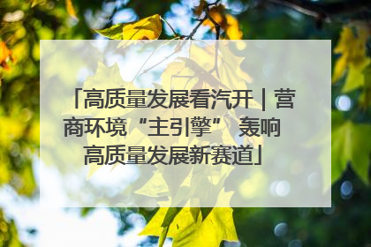 高质量发展看汽开｜营商环境“主引擎” 轰响高质量发展新赛道
