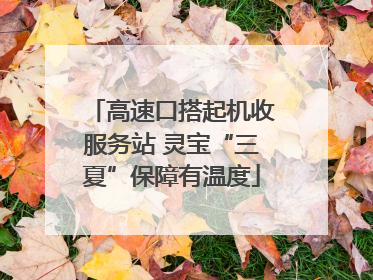 高速口搭起机收服务站 灵宝“三夏”保障有温度