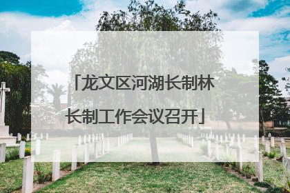 龙文区河湖长制林长制工作会议召开
