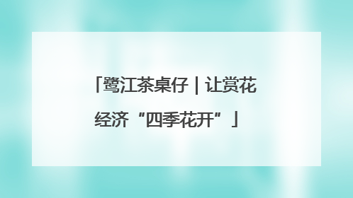 鹭江茶桌仔｜让赏花经济“四季花开”