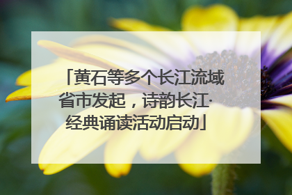 黄石等多个长江流域省市发起，诗韵长江·经典诵读活动启动