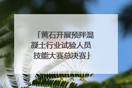 黄石开展预拌混凝土行业试验人员技能大赛总决赛