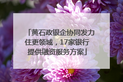 黄石政银企协同发力住更领域，17家银行提供融资服务方案