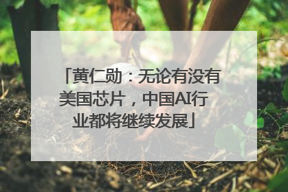 黄仁勋：无论有没有美国芯片，中国AI行业都将继续发展