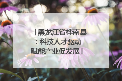 黑龙江省桦南县：科技人才驱动 赋能产业促发展