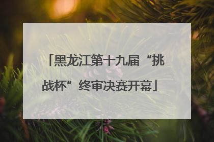 黑龙江第十九届“挑战杯”终审决赛开幕
