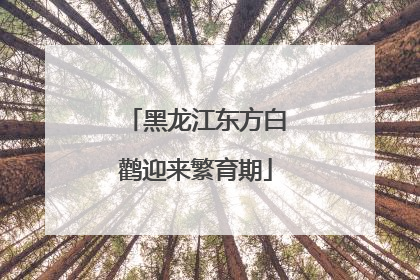 黑龙江东方白鹳迎来繁育期