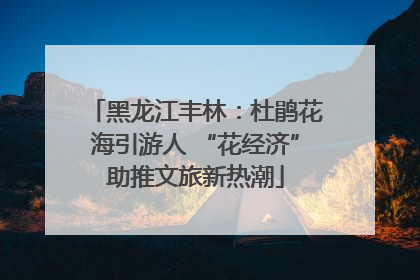 黑龙江丰林：杜鹃花海引游人 “花经济”助推文旅新热潮