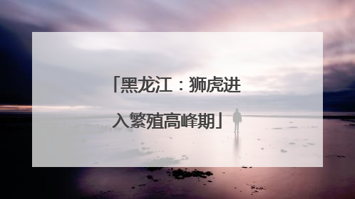 黑龙江：狮虎进入繁殖高峰期