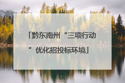 黔东南州“三项行动”优化招投标环境