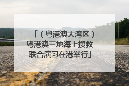 （粤港澳大湾区）粤港澳三地海上搜救联合演习在港举行