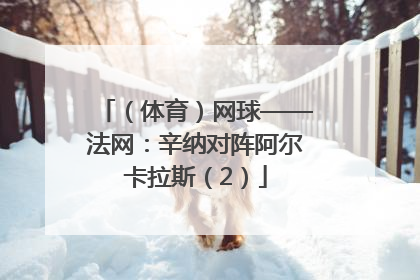 （体育）网球——法网：辛纳对阵阿尔卡拉斯（2）