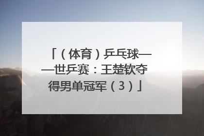 （体育）乒乓球——世乒赛：王楚钦夺得男单冠军（3）
