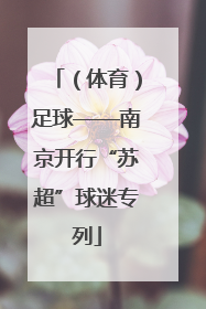 （体育）足球——南京开行“苏超”球迷专列
