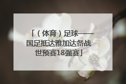 （体育）足球——国足抵达雅加达备战世预赛18强赛