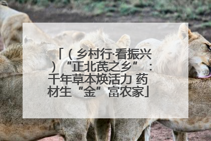 （乡村行·看振兴）“正北芪之乡”：千年草本焕活力 药材生“金”富农家