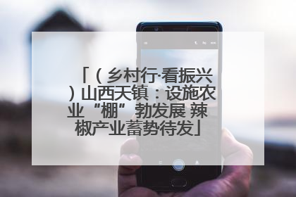 （乡村行·看振兴）山西天镇：设施农业“棚”勃发展 辣椒产业蓄势待发