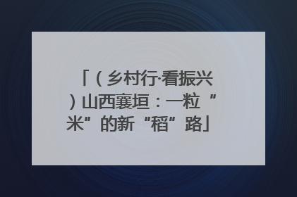 （乡村行·看振兴）山西襄垣：一粒“米”的新“稻”路