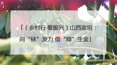 （乡村行·看振兴）山西襄垣：向“林”发力 借“绿”生金