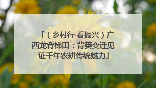（乡村行·看振兴）广西龙脊梯田：背篓变迁见证千年农耕传统魅力