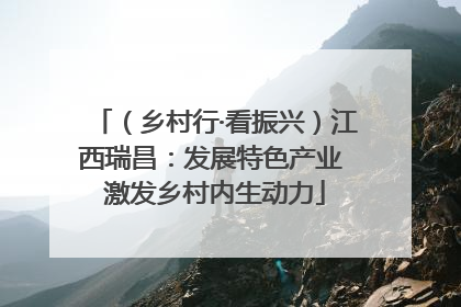 （乡村行·看振兴）江西瑞昌：发展特色产业 激发乡村内生动力
