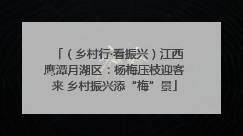（乡村行·看振兴）江西鹰潭月湖区：杨梅压枝迎客来 乡村振兴添“梅”景