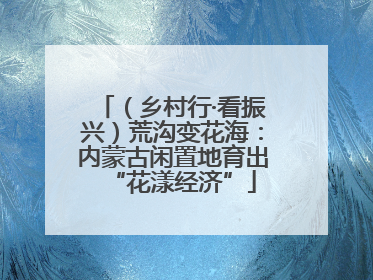 （乡村行·看振兴）荒沟变花海：内蒙古闲置地育出“花漾经济”