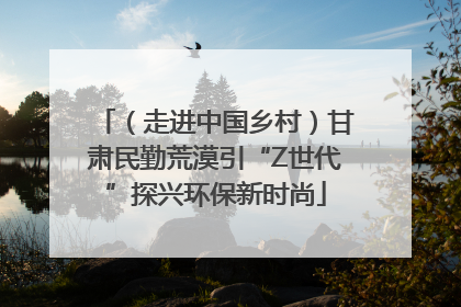 （走进中国乡村）甘肃民勤荒漠引“Z世代”探兴环保新时尚