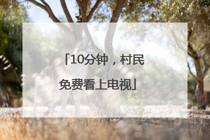 10分钟，村民免费看上电视