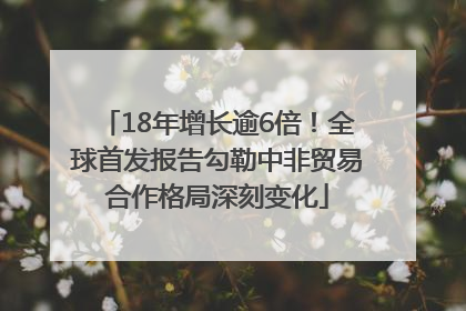 18年增长逾6倍！全球首发报告勾勒中非贸易合作格局深刻变化