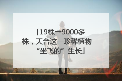 19株→9000多株，天台这一珍稀植物“坐飞的”生长