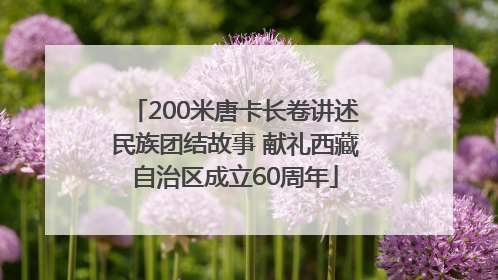 200米唐卡长卷讲述民族团结故事 献礼西藏自治区成立60周年