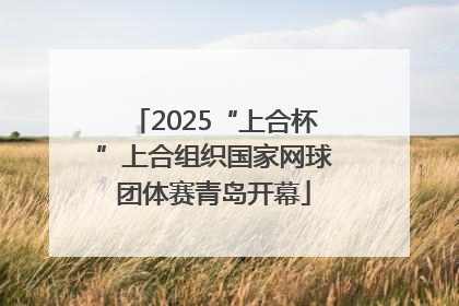 2025“上合杯”上合组织国家网球团体赛青岛开幕